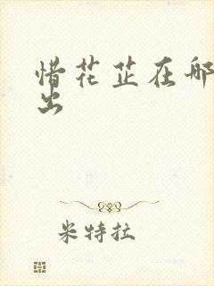 惜花芷在哪里播出
