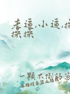 老逼,小逼,操操操