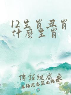 12生肖丑肖是什么生肖