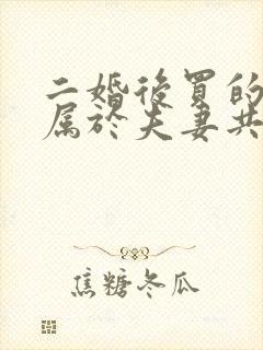 二婚后买的房子属于夫妻共同财产吗