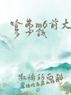 哈弗m6前大灯多少钱