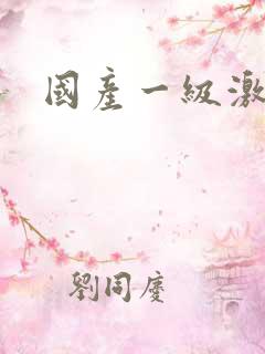 国产一级激情片