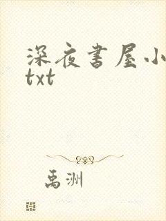 深夜书屋小说 txt