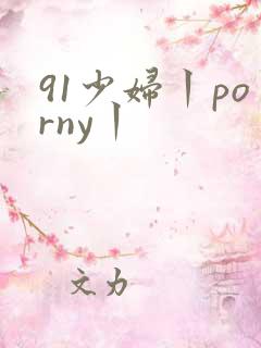91少妇丨porny丨