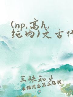 (np,高h,纯肉)文古代