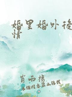 婚里婚外后续剧情