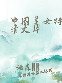 中国美女特黄高清大片