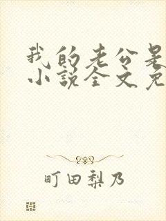 我的老公是冥王小说全文免费阅读