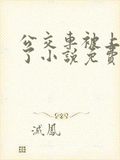 公交车被上高潮了小说免费阅读