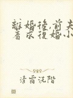 离婚后,前夫哭着求复婚小说阅读