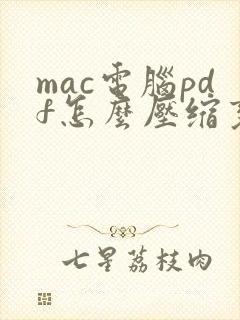 mac电脑pdf怎么压缩变小