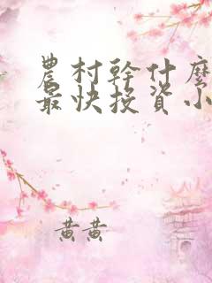 农村干什么赚钱最快投资小