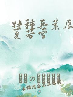 特种兵叶辰孙怡夏若雪