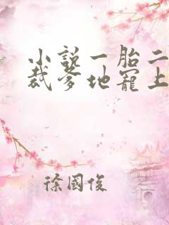 小说一胎二宝总裁爹地宠上天