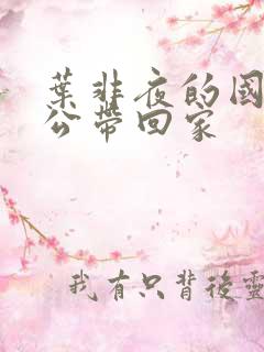 叶非夜的国民老公带回家