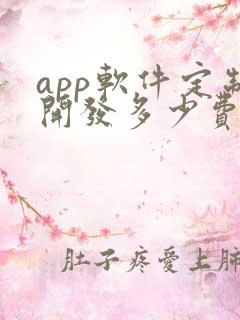 app软件定制开发多少费用