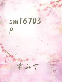 sm16703p