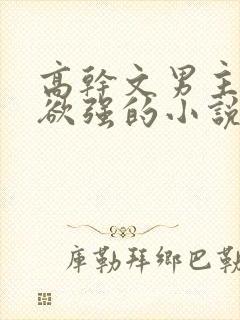 高干文男主占有欲强的小说