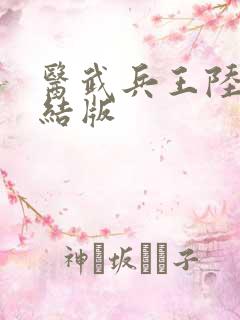 医武兵王陆轩完结版