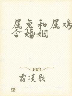 属兔和属鸡合不合婚姻