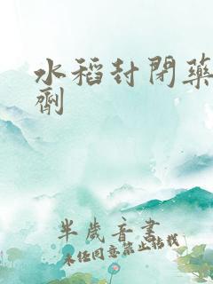 水稻封闭药除草剂