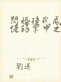 闪婚后我成了大佬的掌中之物大结局完整版