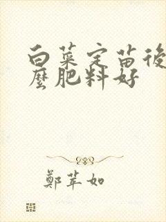 白菜定苗后用什么肥料好