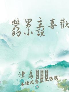 双男主喜欢女主的小说