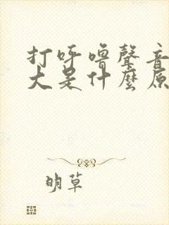 打呼噜声音非常大是什么原因