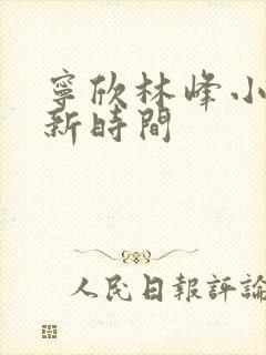 宁欣林峰小说更新时间