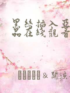 黑丝插入亚洲精品在线观看