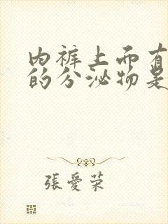 内裤上面有黄色的分泌物是怎么回事