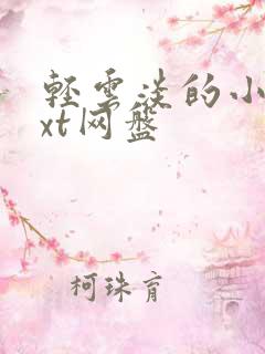 轻云淡的小说txt网盘