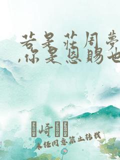 若是庄周梦了蝶,你是恩赐也是劫