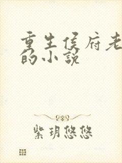 重生侯府老夫人的小说
