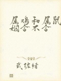 属鸡和属鼠的婚姻合不合