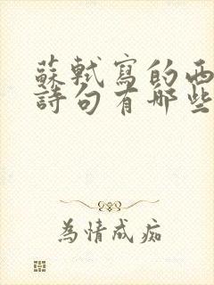 苏轼写的西湖的诗句有哪些