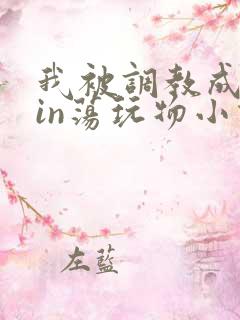 我被调教成了yin荡玩物小说