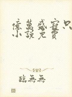 亿万盛宠只为你小说免费