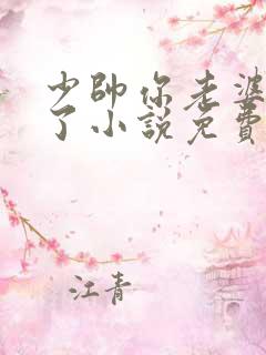 少帅你老婆又跑了小说免费阅读