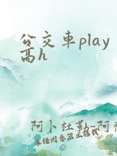 公交车play高h