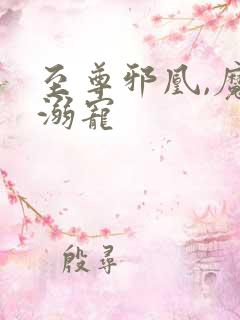 至尊邪凰,魔帝溺宠
