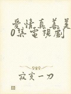 爱情真善美全40集电视剧