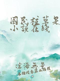 国民校草是女生小说在线