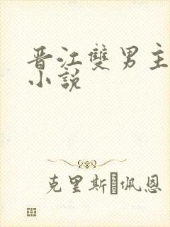 晋江双男主原耽小说