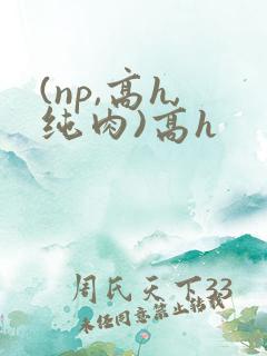 (np,高h,纯肉)高h