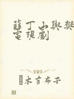 薛丁山与樊梨花电视剧