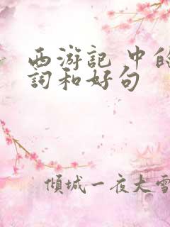 西游记 中的好词和好句