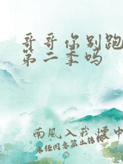 哥哥你别跑还有第二季吗
