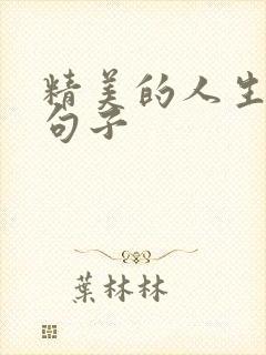 精美的人生感悟句子